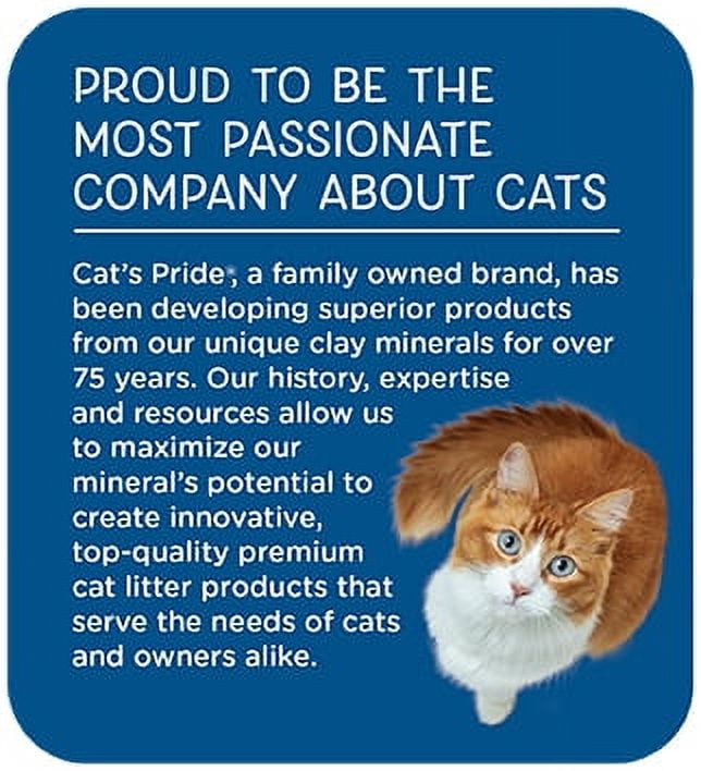 Cat's pride fresh and clean sale