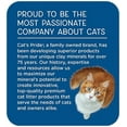 thumbnail image 5 of Cat's Pride Fresh & Clean Scented Non-Clumping Cat Litter, 20-Pound Bag, 5 of 8
