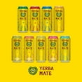 thumbnail image 4 of Guayakí Yerba Mate, Organic Energy Drink Alternative, Bravo Mango, Low Sugar, 150mg Natural Caffeine, Better for You Energy & Focus, No Jitters or Crash, 15.5 Oz (Pack of 12), 4 of 5