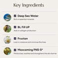 thumbnail image 3 of molvany Face Moisturizing Volume Impact Protein Cream 100ml/3.38 fl.oz, 3 of 7