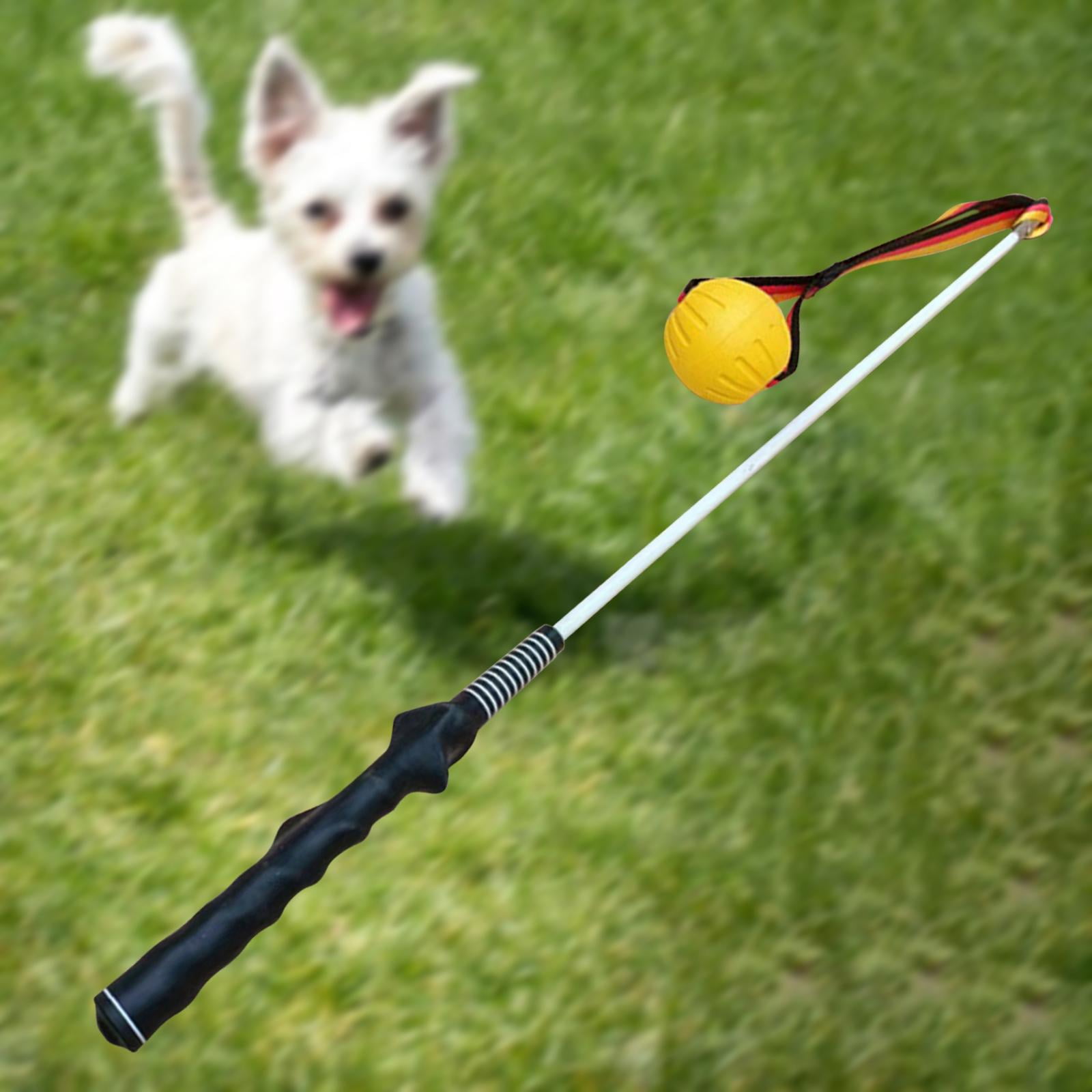 Bvdfgk Flirt Pole for Dogs Dog Teaser Pole Interactive Dog Toys Tug of War Rope Toy for 80cm
