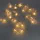 thumbnail image 3 of EeaseMX 1 guirnalda de luces LED de fibra óptica con forma de estrella para decoración de habitaciones (blanca), 3 of 7