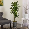 thumbnail image 3 of 4ft. Dracaena Artificial Plant in Vintage Metal Planter (Real Touch), 3 of 3