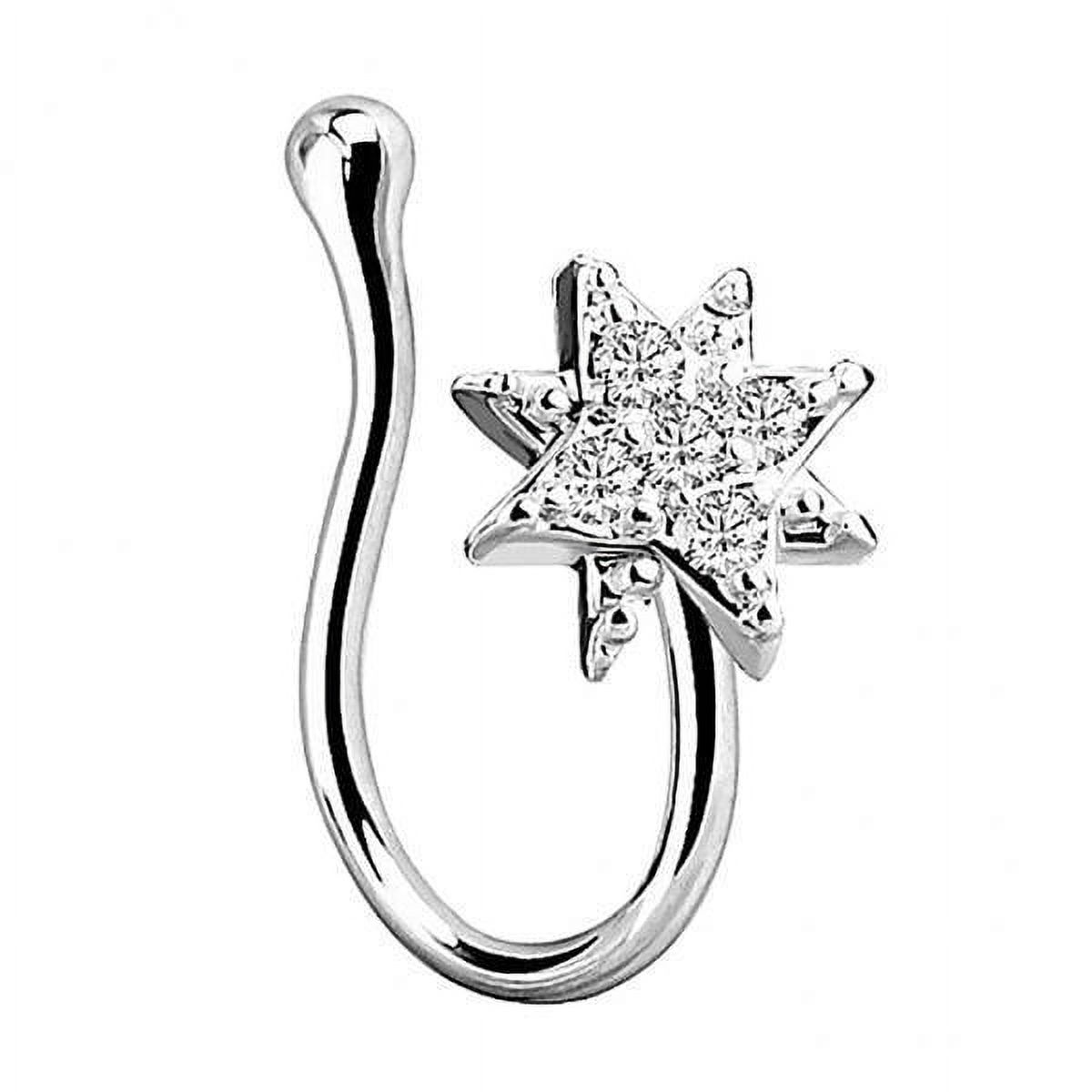 De Acero Quirúrgico Libre Del Níquel Anillos De La Nariz Aro De La Nariz Joyería Del Cuerpo, , large