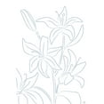 thumbnail image 2 of 1x Studio II 14x18 Black Ornate Wood Framed with Double Matting Museum Art Print Titled - Lillies No 01, 2 of 4