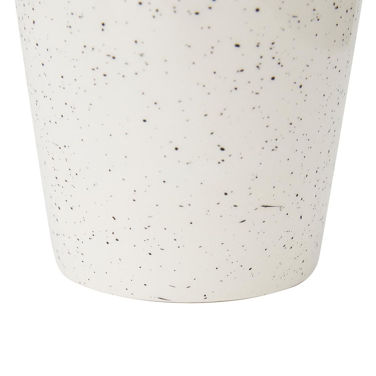 Succulente Anko en Pot