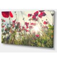 thumbnail image 2 of Poppy Flowers on Summer Meadow - Floral Canvas Art Print, 2 of 3