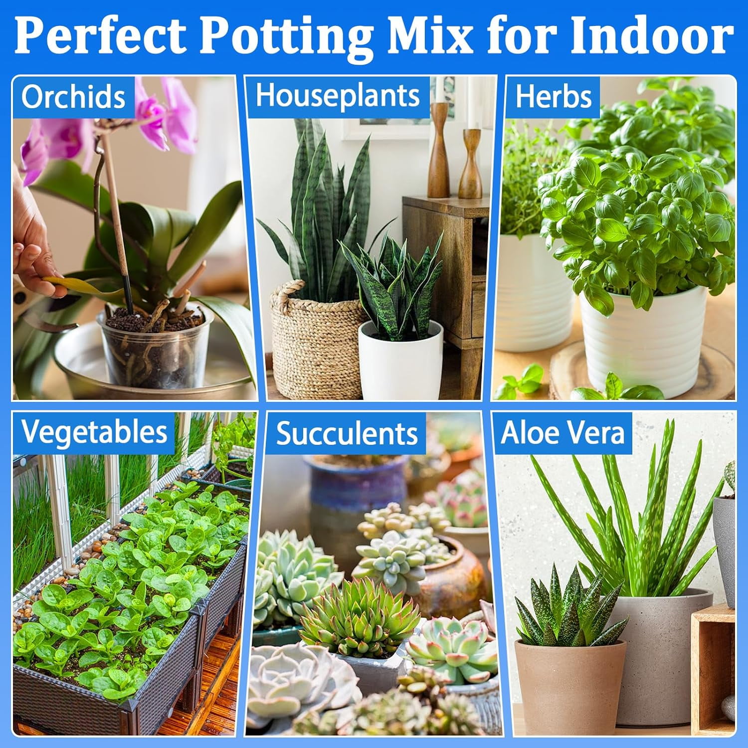 10QT Indoor Potting Soil for Plants Orchid Potting Mix Garden Top Succulent Bonsai Soil for Aloe Vera Houseplants Flowers Vegetables & Herbs