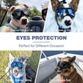 thumbnail image 2 of Gafas protectoras para perros, correas ajustables, fáciles de poner y anti-UV para perros pequeños., 2 of 5