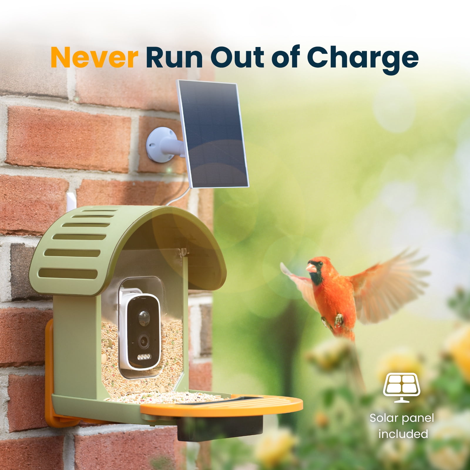 VINGUYS Bird Feeder with Camera and Smart AI Identification, Solar Powered IP66 Waterproof for Outdoor Birding, Green