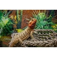 thumbnail image 3 of Penn-Plax Reptology Lizard Lounger Corner Triangle with Ladder– 100% Natural Seagrass Fiber– Large - For Terrarium Tanks, 3 of 8