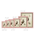 thumbnail image 3 of Bookplate Shells VII - Framed Print w/glass - Sunset Pink, 3 of 8