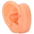 thumbnail image 4 of Modèle Authentique Sans Bulles Modèle d'Oreille en Silicone, Modèle d'Oreille, pour Outil d'Enseignement, 4 of 8