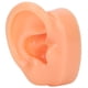 thumbnail image 3 of Modelo de pantalla de oído derecho de silicona artificial Sincero, 3 of 10
