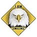 thumbnail image 3 of CROSSWALKS I Am Smiling Eagle 12" X 12" Aluminum Sign (X448), 3 of 4