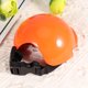 thumbnail image 5 of 1 casco de seguridad para cachorros, protección solar y contra la lluvia (color aleatorio, 4 pulgadas, talla S), 5 of 7