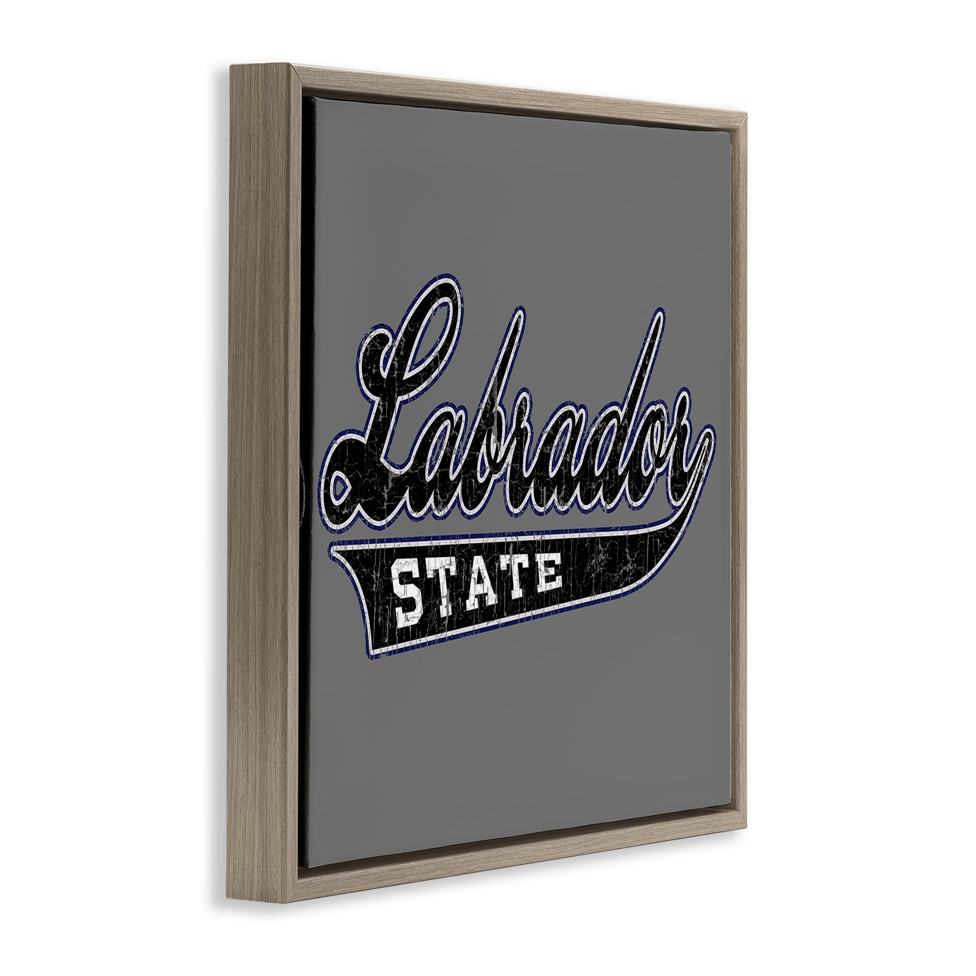Stupell Industries Varsity Labrador State College Novelty & Humor Painting Brown Floater Framed Canvas Art Print Wall Art, 25 x 25
