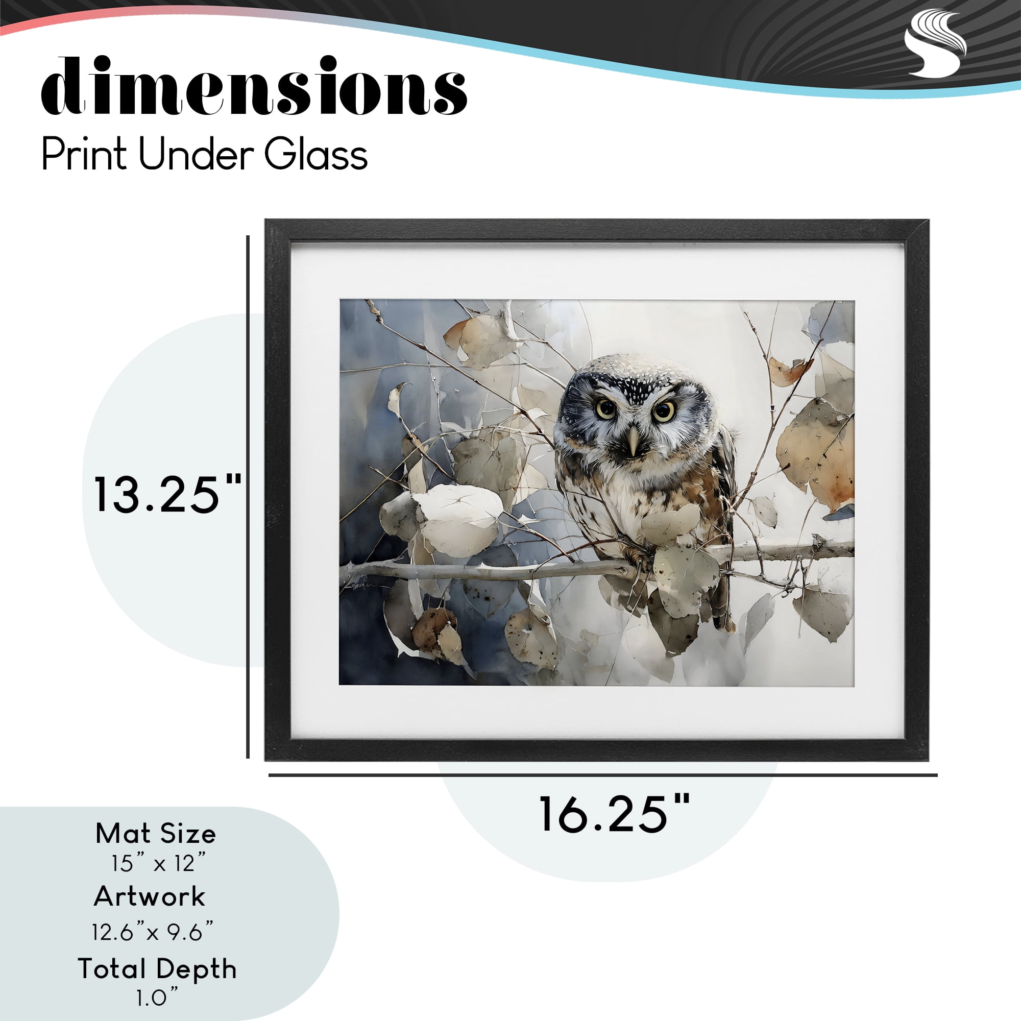 Stupell Industries Hoot Owl on Autumn Branch Black Framed Print Under Glass, design by Franklyn Gregory