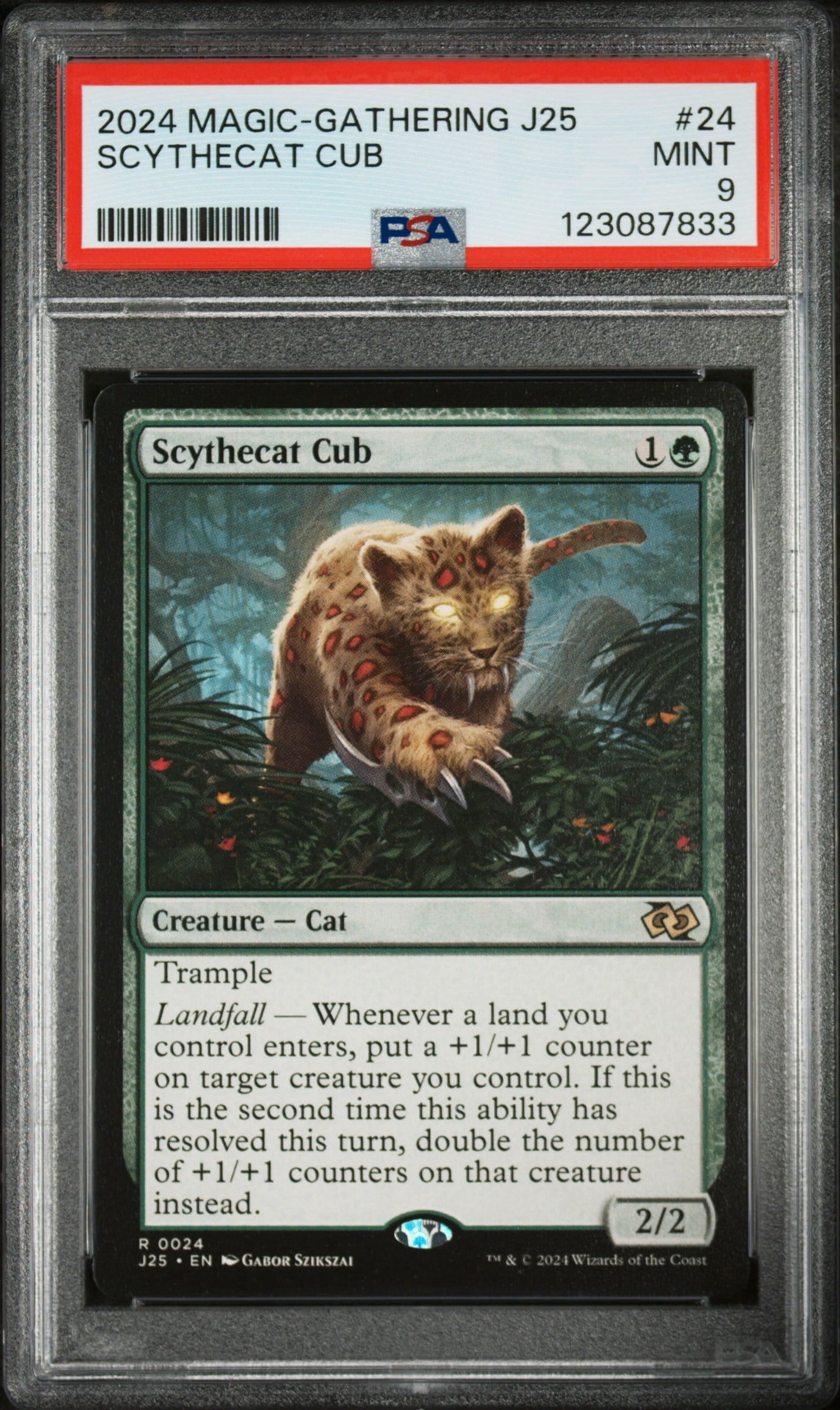 Magic: The Gathering, Commander Collection, Black, Premium Box