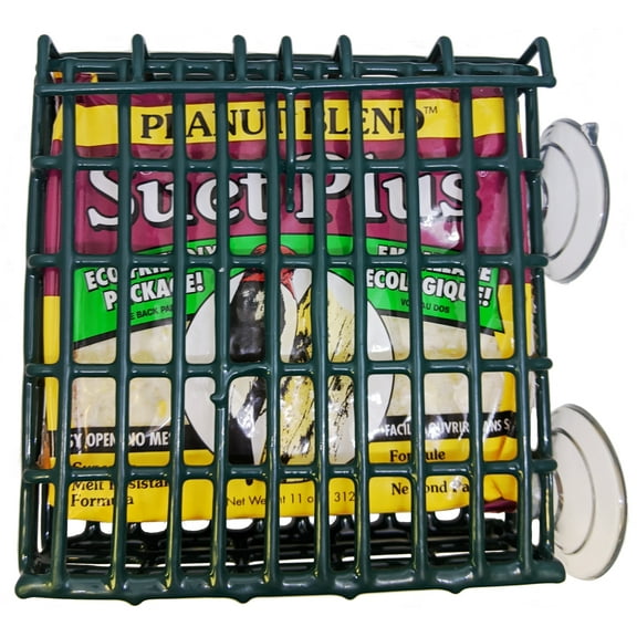 Wildlife Sciences Window Suet Feeder Cage Suet Cake Combo for Wild Birds | Includes 1 Window Feeder and 11 Ounce Peanut Suet Cake