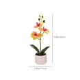 thumbnail image 3 of Planta artificial de orquídea falsa Phalaenopsis realista con maceta lastrada - Flor de seda realista para decoración de boda en la oficina en casa, 3 of 9