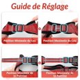 thumbnail image 5 of Arnés para gatos Correa para perros pequeños Arnés ajustable para gatitos (rojo S) Collar reflectante para gatos Chaleco transpirable para conejos, gatos europeos, Maine Coon, personas Rojo Verde Cocina, Decoración y Otros, 5 of 5