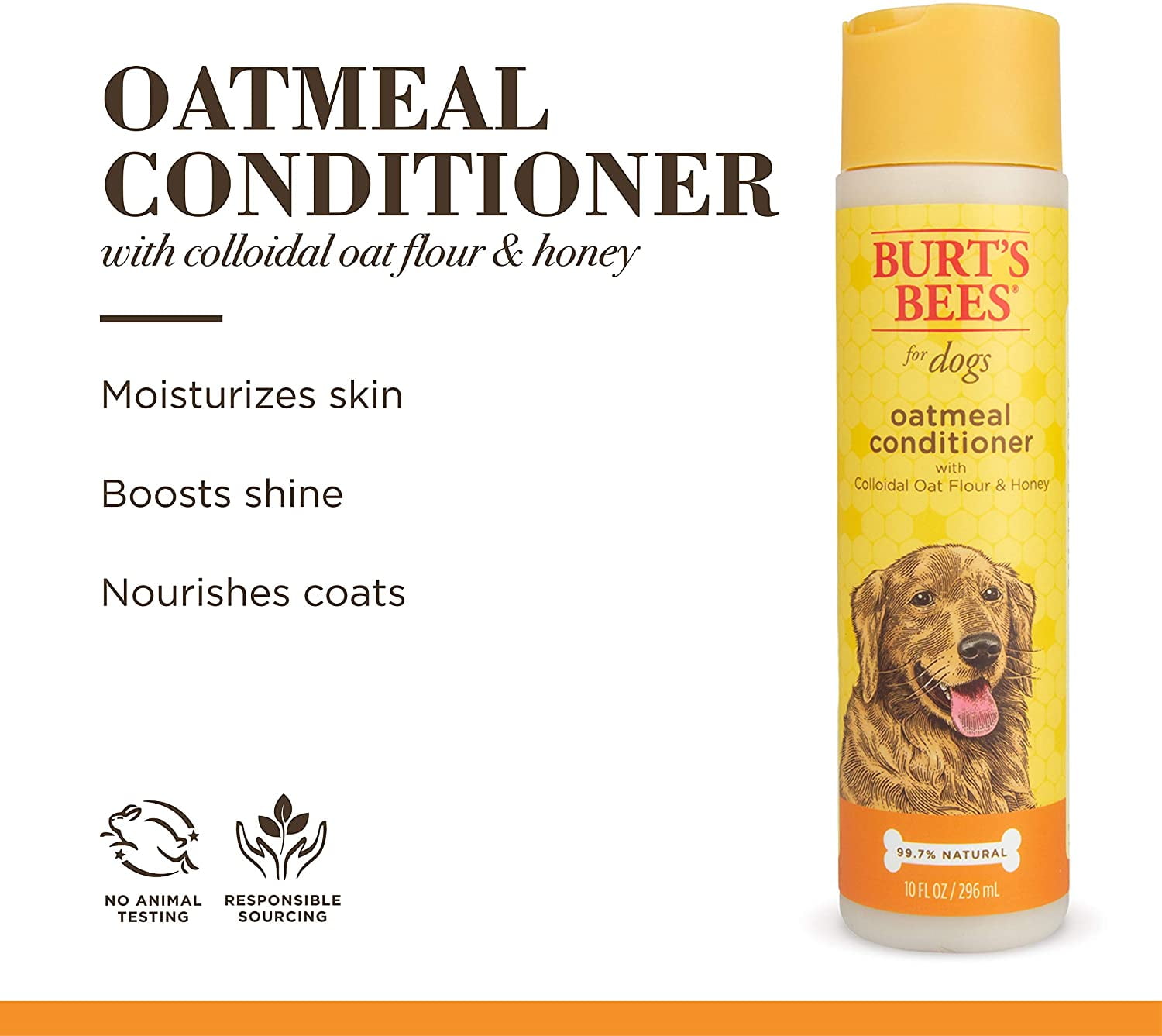 Which Flour Is Best For Dogs