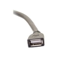thumbnail image 5 of C2G 50ft USB Extension Cable - Active USB A to USB A Extension Cable - Plenum Rated - USB 2.0 - M/F - USB extension cable - 4 pin mini-USB Type A (M) to 4 pin mini-USB Type A (F) - USB 2.0 - 50 ft - plenum, 5 of 5