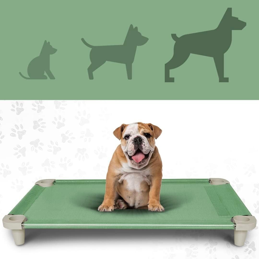 Acrimet Elevated Cooling Dog Bed, Breathable Mesh Cot, Stainless Steel Frame, Fits Dogs Up to 110 lb, Green, 40 x 24 in