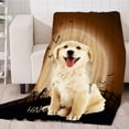 thumbnail image 2 of Yinanstore , Coussin en Flanelle Douillet - Chaton, 2 of 8