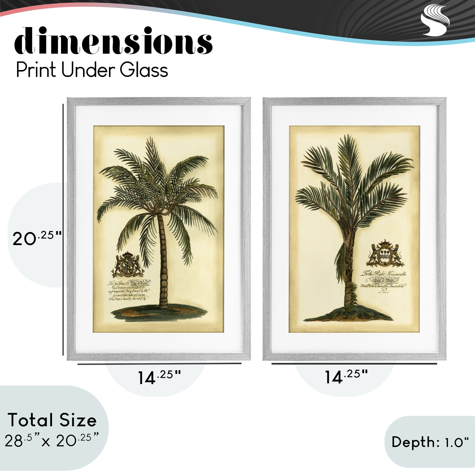 Stupell Industries Vintage Historical Palms 2 Piece Gray Framed Print Under Glass Set, design by Vision Studio