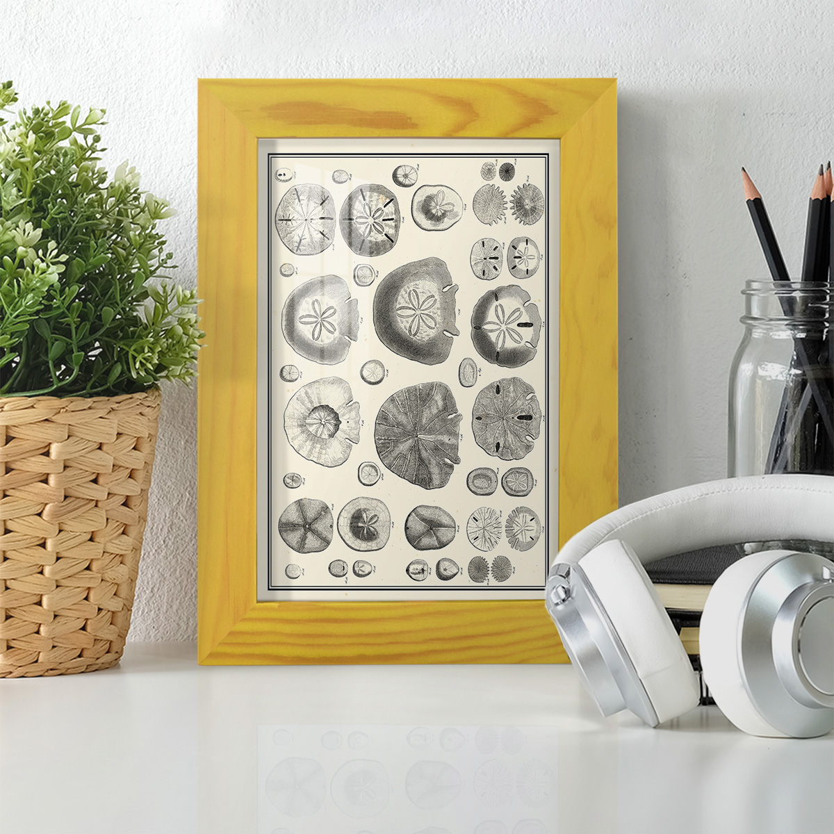 Aegean Collection II -Framed Print w/glass-Sunflower Yellow