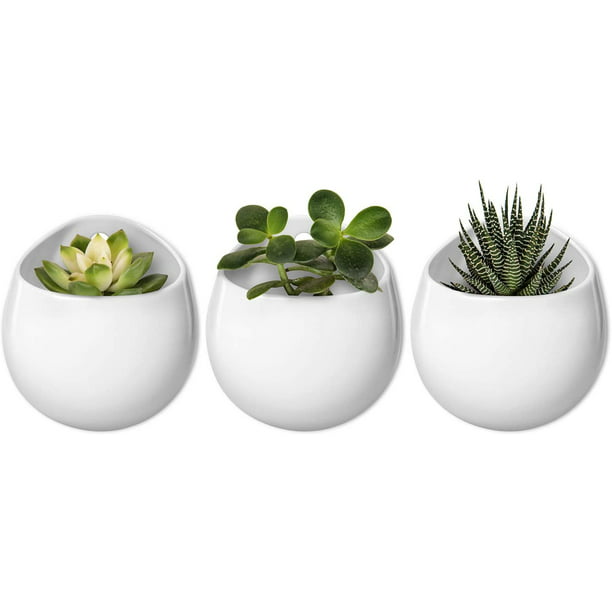 Golden Home Wall Mounted Planter Round Ceramic Hanging Plant Holder Decorative Flower Display Vase Succulent Pots For Indoor Plants Set Of 3 White Not Included 4 Inch Com - Indoor Wall Mounted Plant Holders