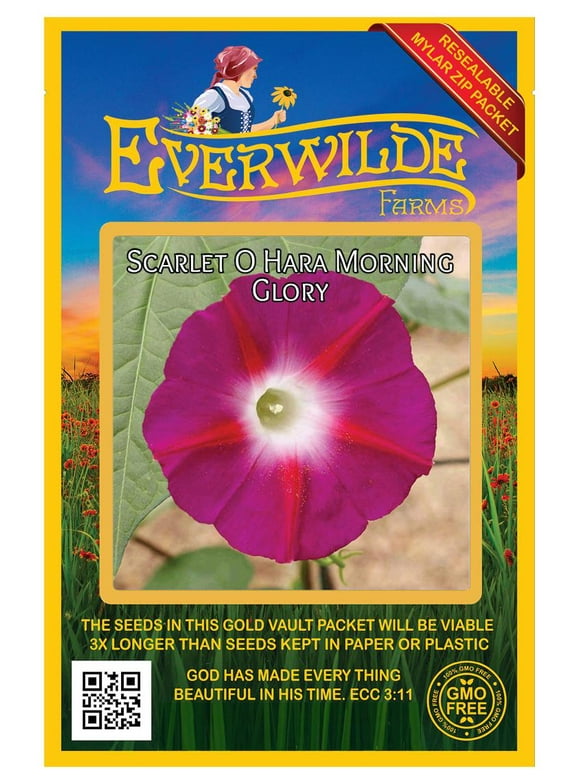 Morning Glory Flower Seeds in Seed Gardening