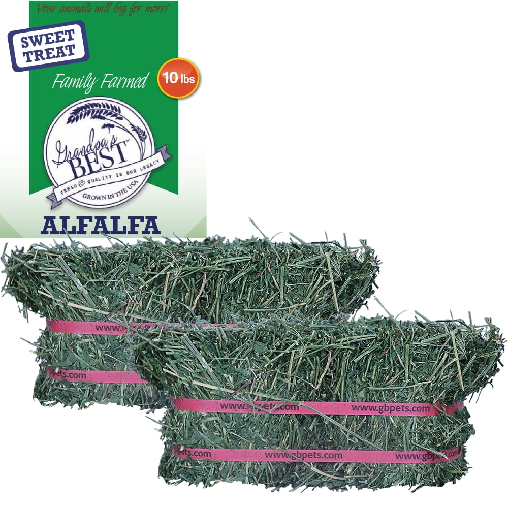 Grandpa's Best Alfalfa Hay Mini Bale for Small Animals 10lb