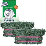 Grandpa's Best Alfalfa Hay Mini Bale for Small Animals - 10lb