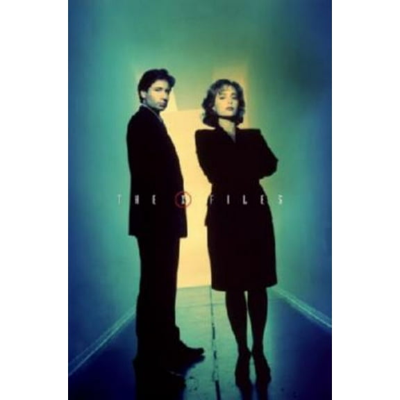 X-Files The Poster 11inx17in Mini Poster Entertainment decor 11x17 poster