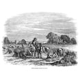 thumbnail image 2 of Harvesting Wheat. /Nwood Engraving, English, 1846. Poster Print by  (24 x 36), 2 of 4