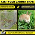 thumbnail image 4 of BOEN Plastic Mesh Hardware Netting, Tree Guard Barrier from Rabbits, Deer and Rodents, Deck Guard, Indoor or Outdoor Balcony Safety Net for pet or Child (2' x 25', White), 4 of 7