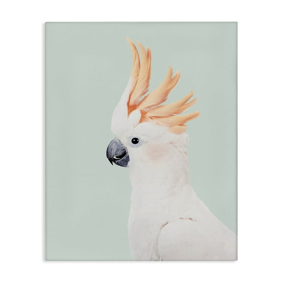 Stupell Industries White Cockatoo Portrait Animals Painting Wrapped Canvas Art Print Wall Art, 16 x 20