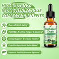 thumbnail image 3 of 2 Pack Liquid Iron Supplement for Women Men & Kids, Vegan Iron Drops with Vitamin C D, B12, B-Complex, High Potency Liquid  with Multivitamin for Anemia, Energy Support, Magnesium  Gentle, 3 of 10