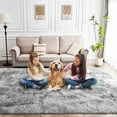 thumbnail image 2 of ZENELESS 4'x6' Soft Rug Indoor Modern Fluffy Area Rugs for Living Room Bedroom Carpet Home Decor,Grey, 2 of 8