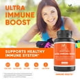 thumbnail image 2 of Ultra Immune Boost Capsules with Vitamin C, Zinc, Elderberry, Vitamin D, Lysine, Echinacea, and Mushroom Extracts for Immune Support- Powerful Antioxidants -60 Veggie Caps, 2 of 7