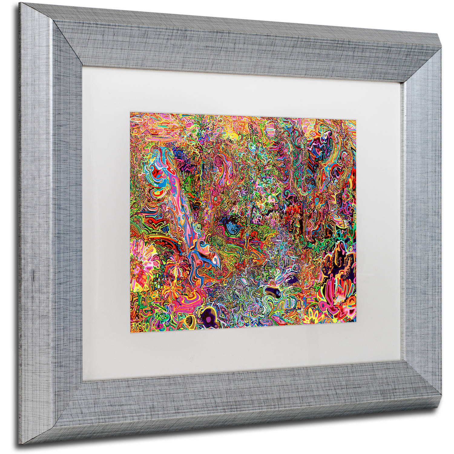Trademark Fine Art "The Dove And The Crow" Canvas Art by Josh Byer, White Matte, Silver Frame
