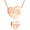 Rose, variant on Paw Prints Heart Furry Friend Memorial Cremation Urn Pendant Cremation Jewelry for Ashes Holder Pet Memory Necklace Dog Cat Memorial Jewelry