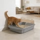 thumbnail image 5 of Caja De Arena De Plástico Para Gatos Arenero para gatos gris semicerrado con barrotes altos,diseño a prueba de salpicaduras y pala (1 pieza) Rkxzt, 5 of 8