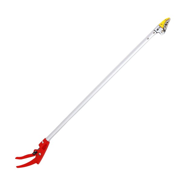 Recolector de fruta y podador de árboles 2 en 1, mango largo, agarre ergonómico, recortador de uvas 06 m