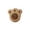A, variant on Wooden Fridge Magnet Back with Bottle Opener, Cute Animal Shaped Fridge Magnets Bottle Opener, C