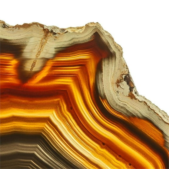 Giant Art 72x72 Cadmium Orange Agate A Fine Art Giant Canvas Print in White