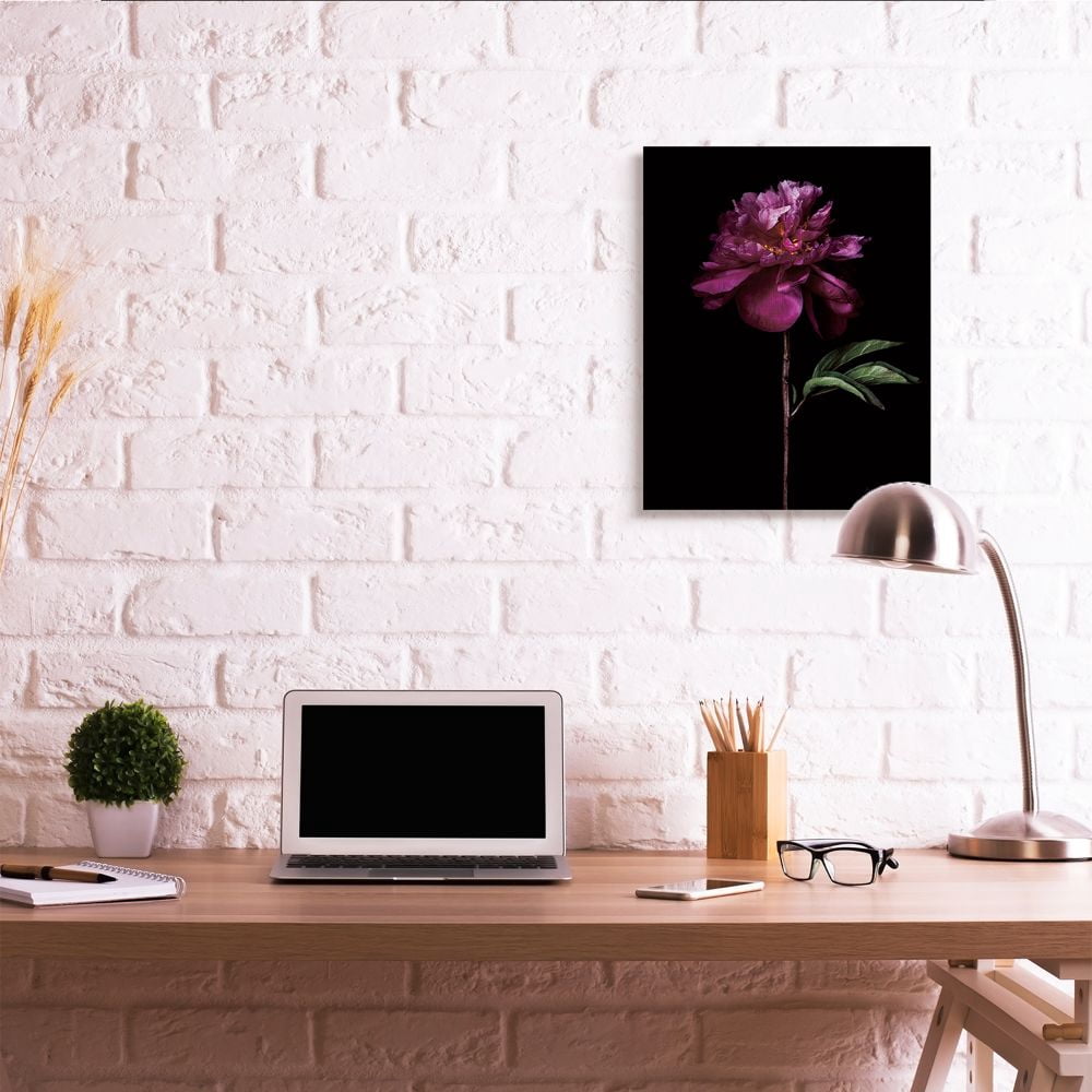 Stupell Industries Flower with Long Stem Black Purple Nature Photograph Canvas Wall Art Design by Elise Catterall, 24" x 30"